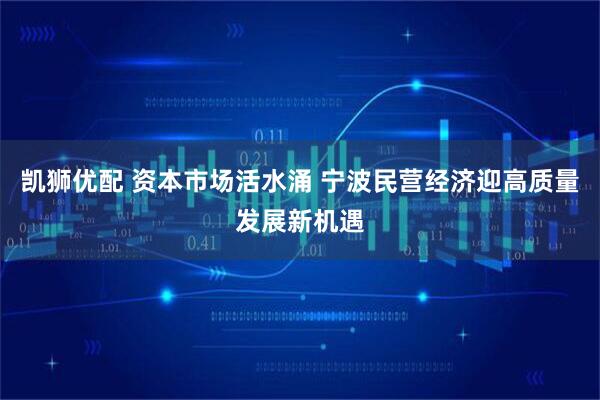 凯狮优配 资本市场活水涌 宁波民营经济迎高质量发展新机遇