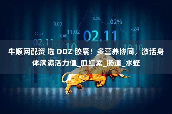 牛顺网配资 选 DDZ 胶囊！多营养协同，激活身体满满活力值_血红素_肠道_水蛭