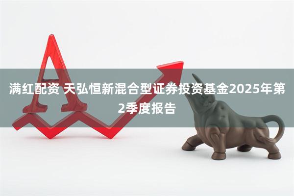 满红配资 天弘恒新混合型证券投资基金2025年第2季度报告