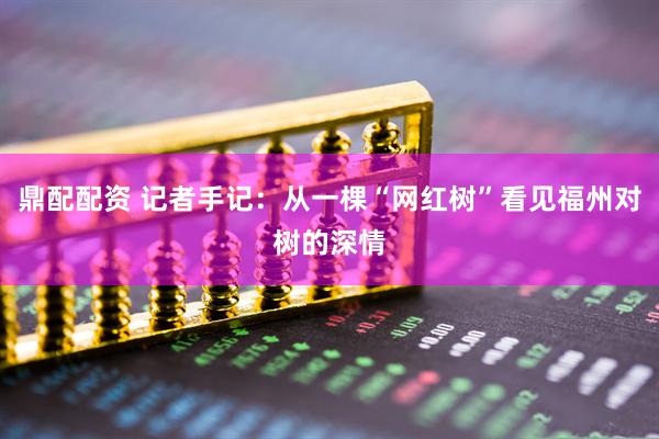鼎配配资 记者手记：从一棵“网红树”看见福州对树的深情