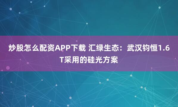 炒股怎么配资APP下载 汇绿生态：武汉钧恒1.6T采用的硅光方案
