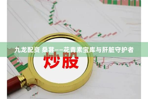 九龙配资 桑葚——花青素宝库与肝脏守护者